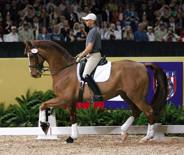 Steffen Peters                                                                  